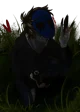Eyeless Jack