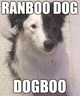 Ranboo-dog