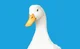 Angry Aflac Duck