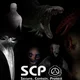 the SCPs