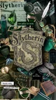 Slytherin Groupchat