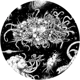 Azathoth -CthMythos-