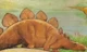stegosaurus 