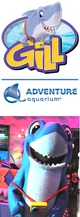 Gill The Shark