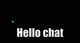 hello chat