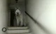 Ghost dog
