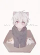 Cute cat boy - BL