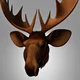 Moose Head