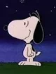 Snoopy sr
