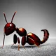 Ant