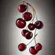 sweetcherry