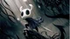 Hollow knight rpg