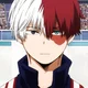 Todoroki Shoto Alfa