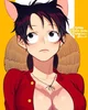Cat and Female Luffy