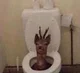 Deer in a toilet