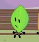 Leafy - BFB