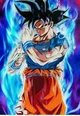 Goku Ui