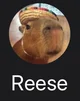 Reese