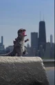 Mini Godzilla 