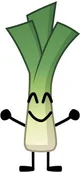 Leek