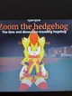 Zoom The Hedgehog 