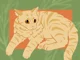 Lionblaze