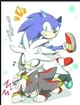 Sonic Shadow Silver