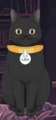 Leo