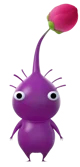 Purple Pikmin