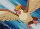 Pidgeot