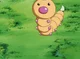Weedle