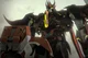 TfP PredaKing