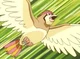Pidgeotto