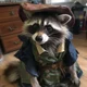 Journalist Raccoon