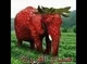strawberry elephant