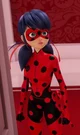 Ladybug