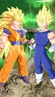 SSJ3Goku SSJ2Vegeta