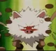 Primeape