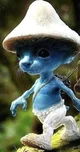 Smurf cat