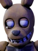 SW Spring Bonnie