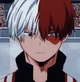 Shoto Todoroki 