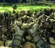 Horde Of Orcs