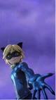 Chat noir