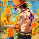 Portcas d ace