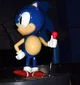Toyland Tours Sonic