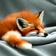 Baby Fox 8