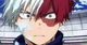 Shoto Todoroki