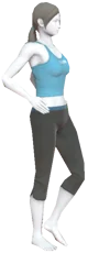 Wii fit
