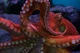Giant Octopus