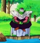 Piccolo